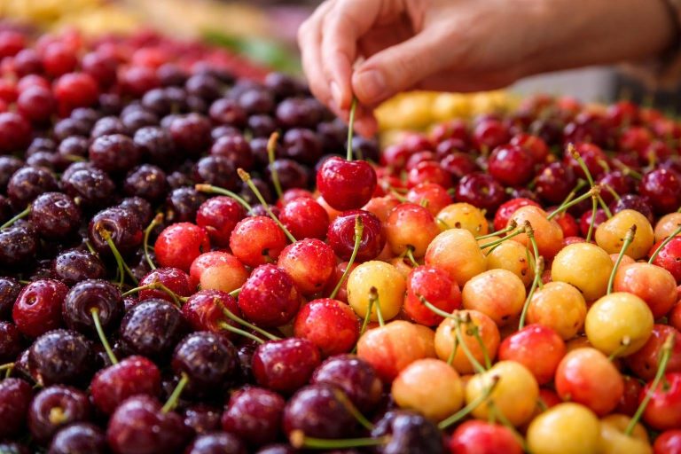 etalage-cerises-variees-gros-plan
